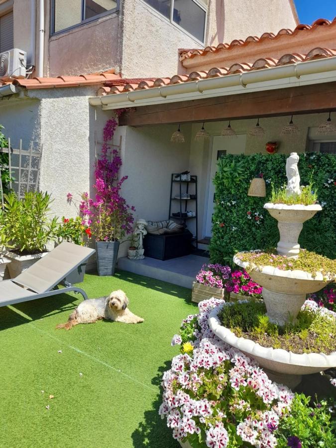 Ferienwohnung Les Pieds Dans L'Eau Sainte-Marie Exterior foto